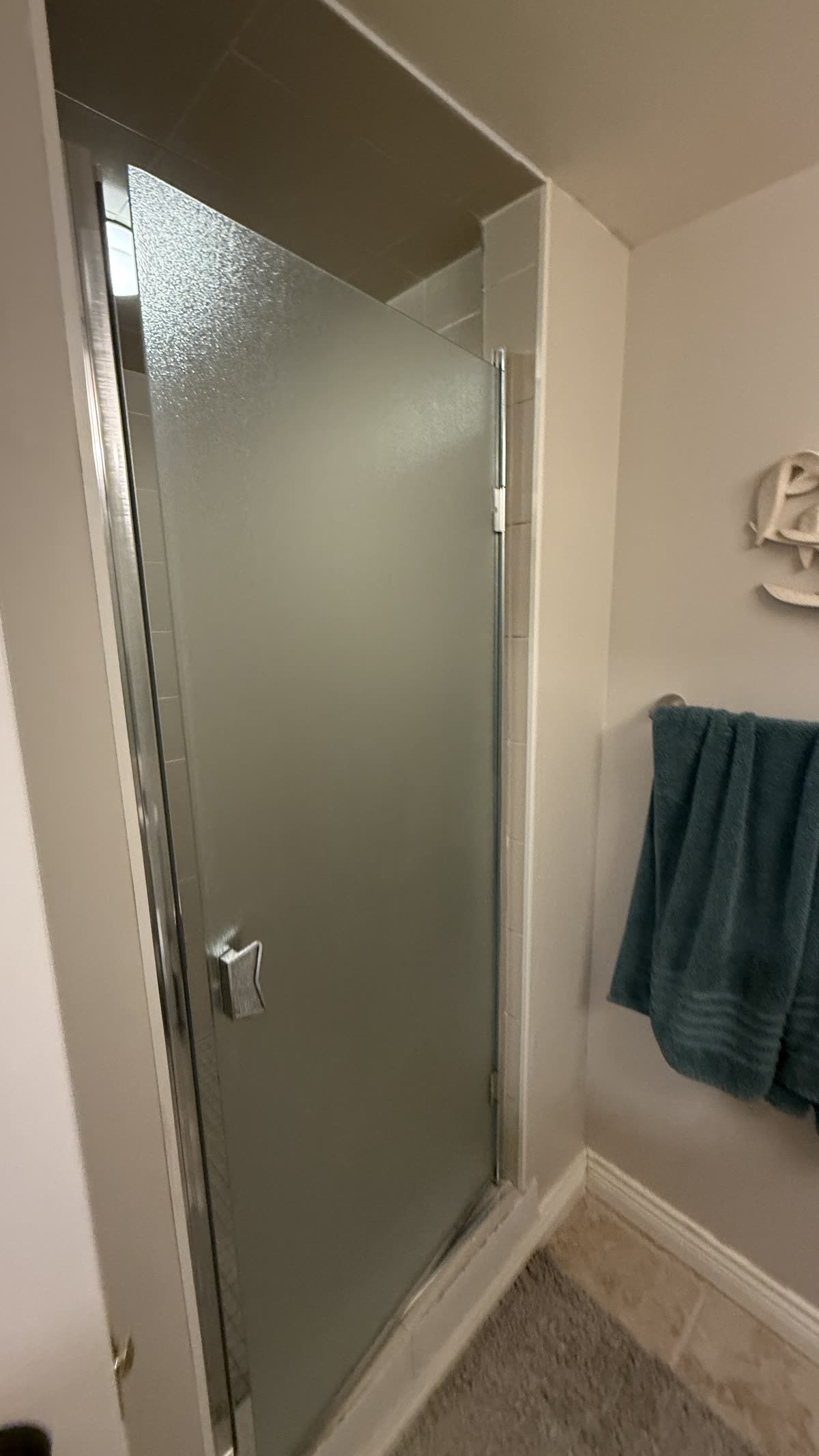 Original frosted shower door before replacement in Vancouver
